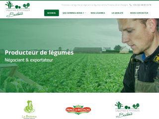 producteur de légumes, négoce de légumes, exportateur, fournisseur de légumes bretons, coopérative agricole