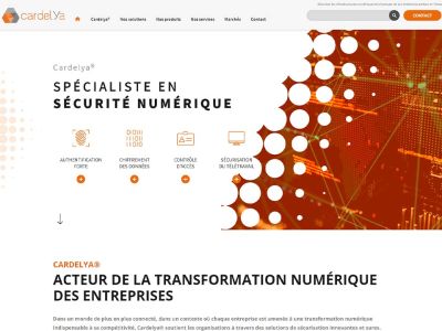 Spécialiste en sécurité Numérique