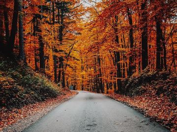 [#Automne] 🍁 Avez-vous constaté le changement de température ? Depuis vendredi dernier, fini l'été, place maintenant à l'automne ! 🍂 L'occasion de se mettre...